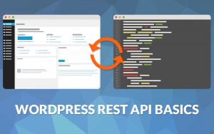 Learn the basics to use REST API with WordPress