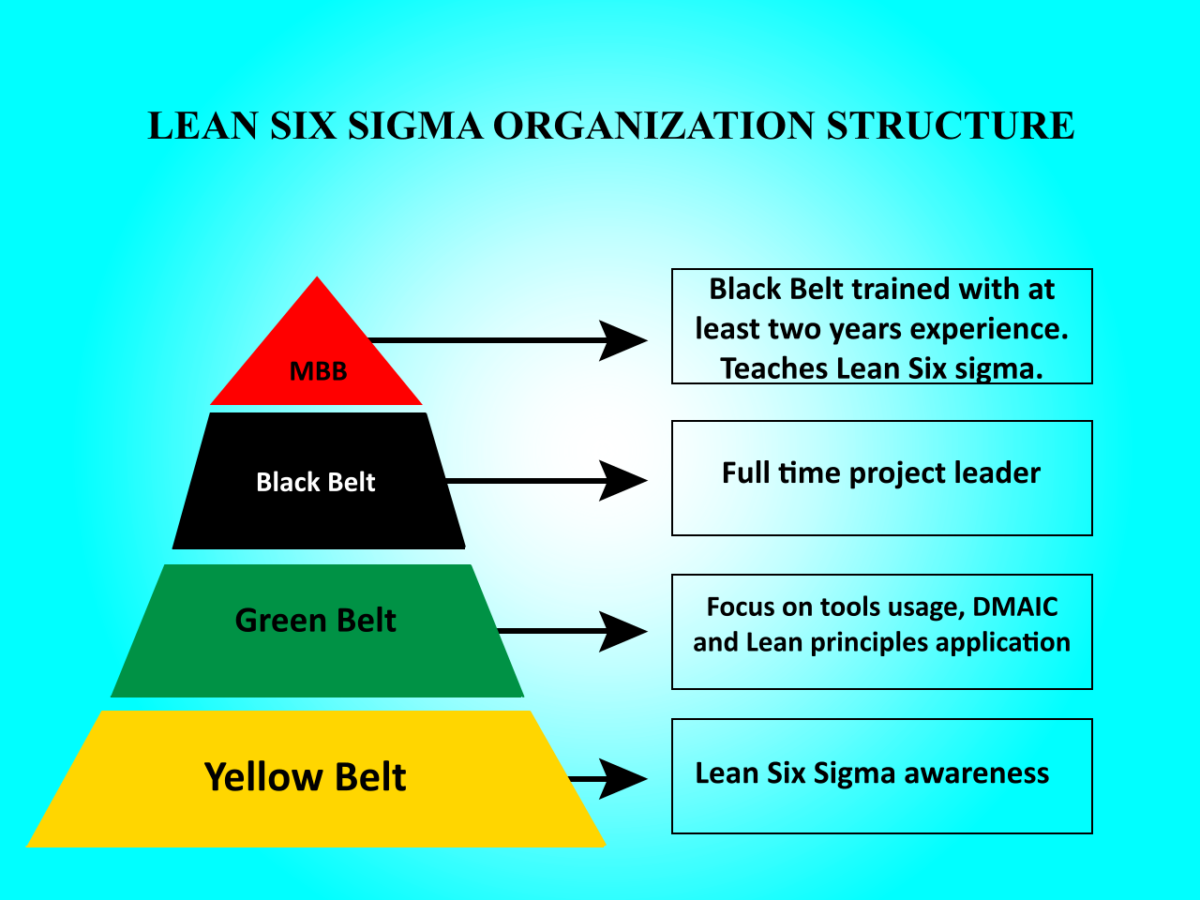 lean six sigma black belt vs green belt