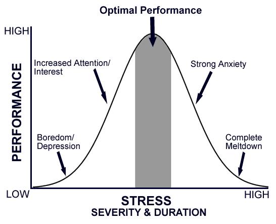 Comfort zone, performance and stress